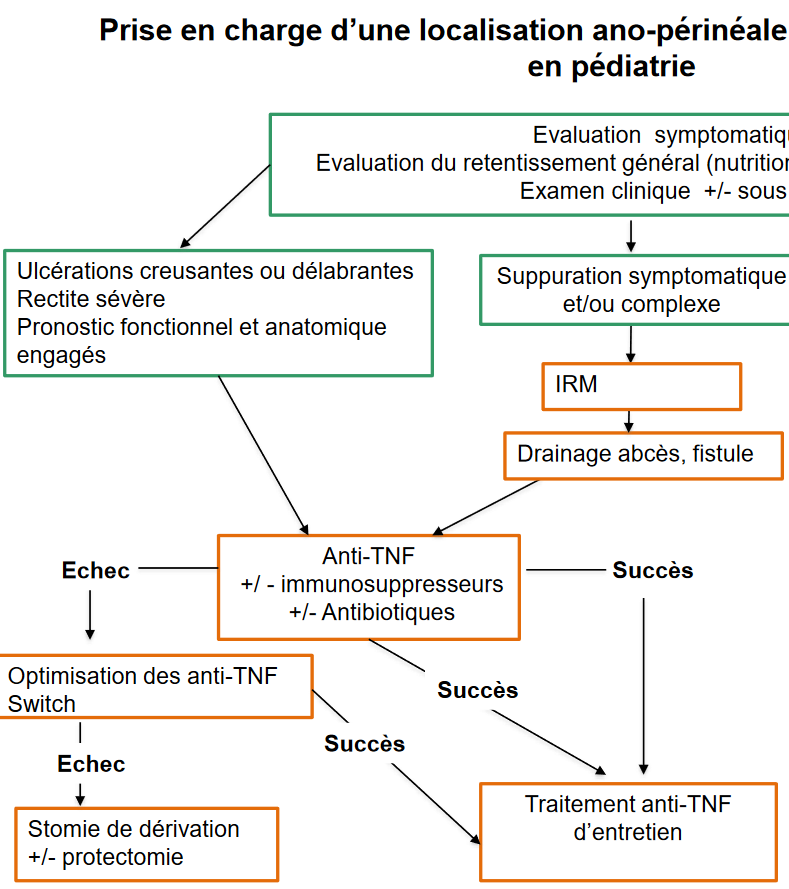Capture d'écran 2023-11-02 194258.png
