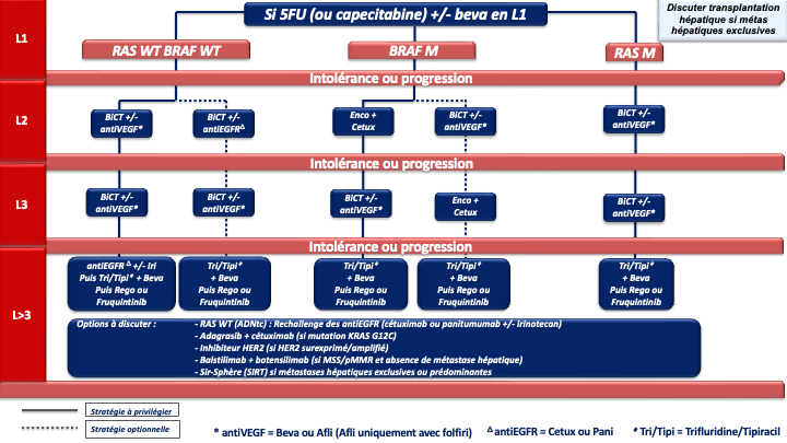 tncd_chap-04_Annexe-11_2026-03-13.png