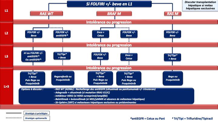 tncd_chap-04_Annexe-12_2026-03-13.png