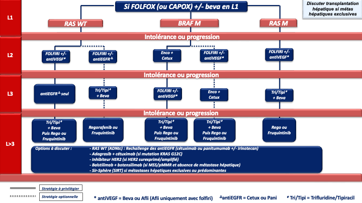 tncd_chap-04_Annexe-13_2026-03-13.png