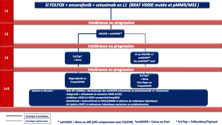 tncd_chap-04_Annexe-19_2026-03-13.png