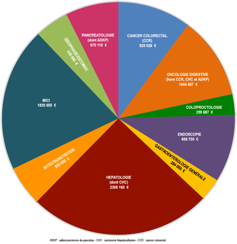 Bourses SNFGE_Camembert par thématique_2024.png