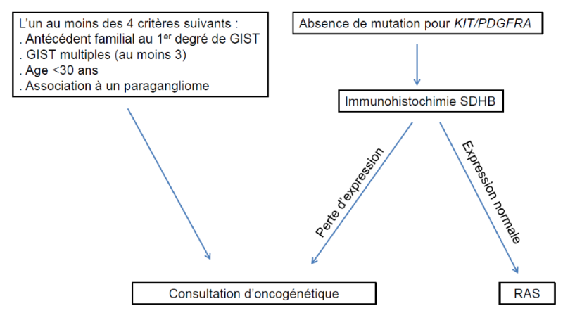 Annexe 1. Indications de la consultation d’oncogénétique et algorithme d’analyse génétique constitutionnelle en fonction de l’immunohistochimie SDH