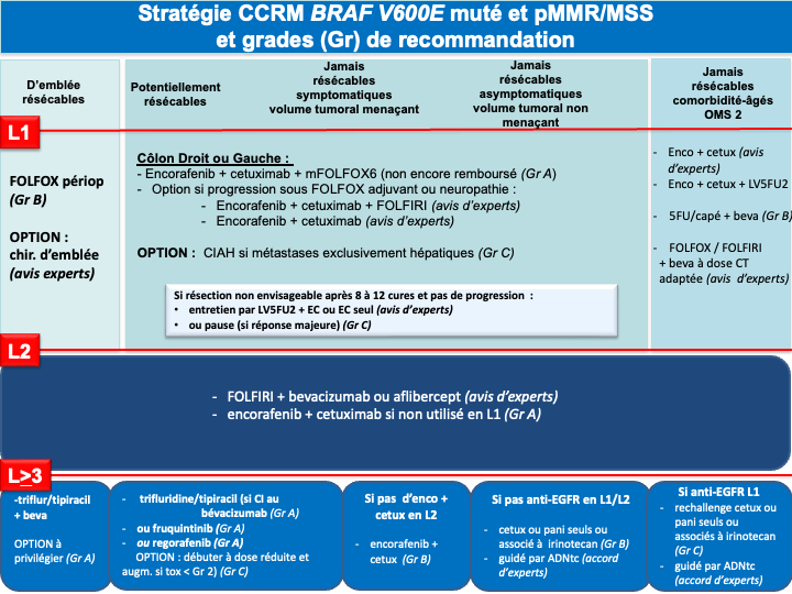tncd_chap-04_Annexe-08_2026-03-13.png
