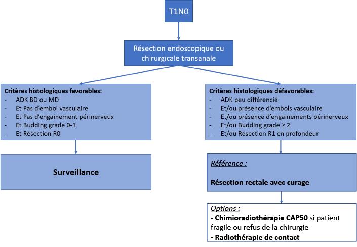  5.7.1. Stratégie thérapeutique pour tumeurs T1N0